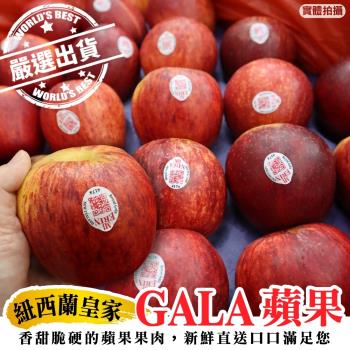 果物樂園-紐西蘭皇家級大顆GALA蘋果原箱(80顆_約18kg/箱)