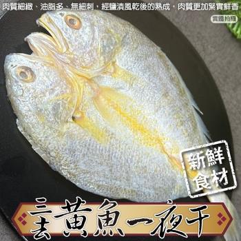 海肉管家-鮮凍黃魚一夜干4尾(約250~300g/尾)