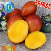 預購-風之果 枋山寶島級香甜40年老欉愛文芒果禮盒10台斤(18-19顆)330g-300g