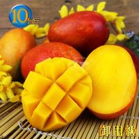 預購-風之果 枋山御用級濃甜40年老欉愛文芒果禮盒10台斤(15-17顆入)400g-350g