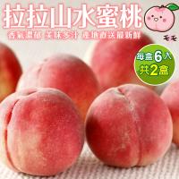果物樂園-拉拉山五月水蜜桃6入(2盒/每盒約1.3kg±10%含盒重)