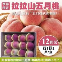 果物樂園-拉拉山五月水蜜桃12入(2盒/每盒約1.3kg±10%含盒重)