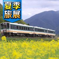 夏季旅展-夏艷奧入瀨溪海鮮市場貓站長天皇溫泉四日旅遊