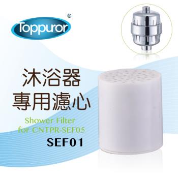 【Toppuror 泰浦樂】電鍍沐浴淨水器專用濾心(SEF01)