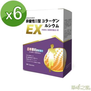 草本之家-日本非變性二型膠原蛋白+鈣30粒X6盒