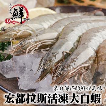 海肉管家-宏都拉斯活凍白蝦1盒(每盒48-56隻/約1kg±10%)