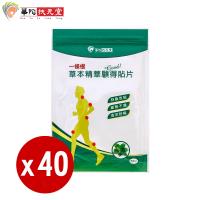 華陀扶元堂 一條根草本精華顧得貼片40包(5片/包)