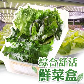 【智慧科技農場】綜合舒活鮮菜盒6盒(150g/盒)