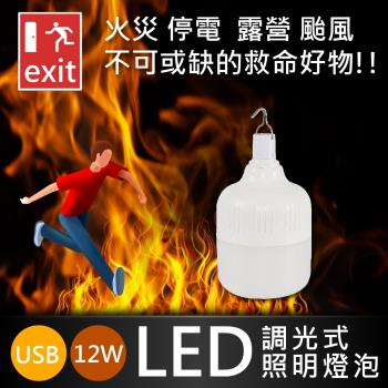 防災必備  LED USB調光式照明燈泡