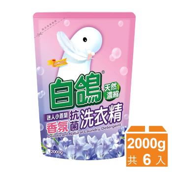 白鴿 天然抗菌洗衣精補充包2000gx6包-迷人小蒼蘭香氛