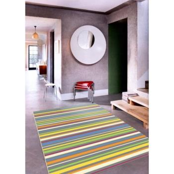 范登伯格  普利鮮明色彩進口地毯-俐落 117x170cm 