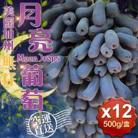 愛上新鮮 美國加州無籽月亮葡萄(500g±10%/盒)12盒