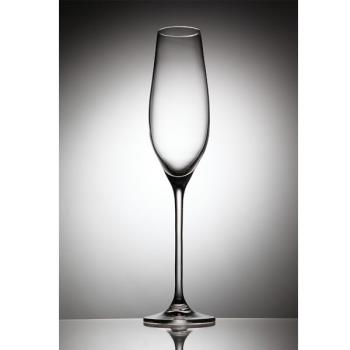 【Rona樂娜】Celebration專業杯系列  香檳杯210ml  6入