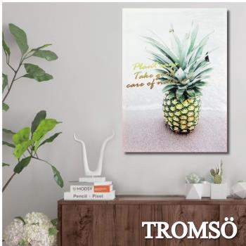 TROMSO-時尚無框畫_40x55cm 北歐菠蘿