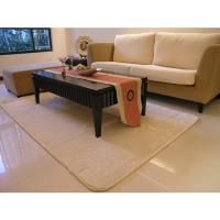 范登伯格-貝琪 日本原裝進口防蹣抗菌地毯/地墊_200x300cm 米色