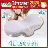 Beroso 倍麗森 日系人體工學弧度4D透氣涼感護頸回彈記憶枕-沉穩灰-2019-建議-聖誕禮物-交換禮物-實用-適用-送禮