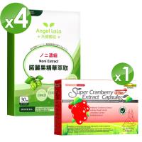 【Angel LaLa 天使娜拉】諾麗果精華膠囊4盒+蔓越莓精粹濃縮膠囊1盒