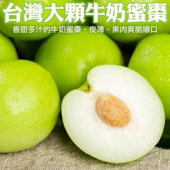 果物樂園-台灣大顆牛奶蜜棗(18-21顆_約4斤/箱)