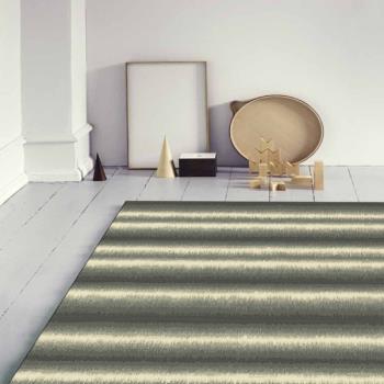 范登伯格 羅納個性化復古進口厚織地毯- 層次 160x230cm