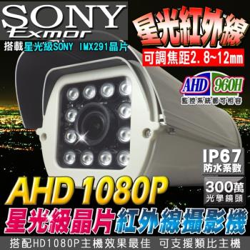 KINGNET 監視器攝影機 防護罩攝影機 AHD 1080P SONY晶片 星光級晶片戶外攝影機 戶外防護罩 12顆陣列燈 台灣製 防水防塵
