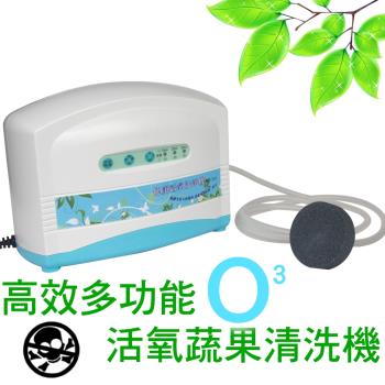 多功能高效活氧機 臭氧機 蔬果清洗機CE170