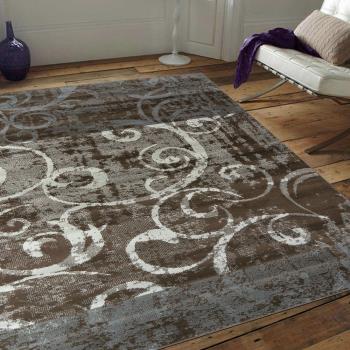 【Ambience】比利時Shiraz 時尚地毯-復古藤蔓 (160x230cm)
