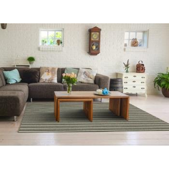 【范登伯格】ID極簡現代進口優質地毯-線條綠 150x200cm