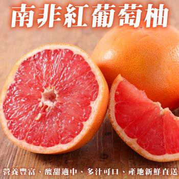 果物樂園-南非紅葡萄柚(15-20顆_約5kg/箱)