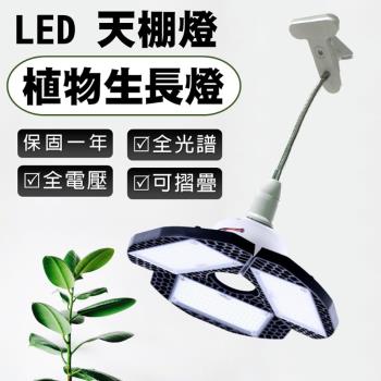 天棚燈 夾燈式 LED植物生長燈 直下式 側照補光燈 植物補光燈 50W 全光譜 夾燈(保固壹年)