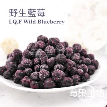 【莓果工坊】新鮮冷凍野生藍莓 (加拿大)