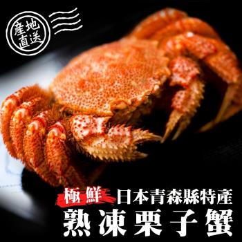 海肉管家-日本熟凍栗子母蟹(1隻/每隻約150-180g)