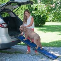美國 Pet Gear 易步摺疊二階爬坡道 - 寶藍(PG9166 Ultra Light Dog Ramp )