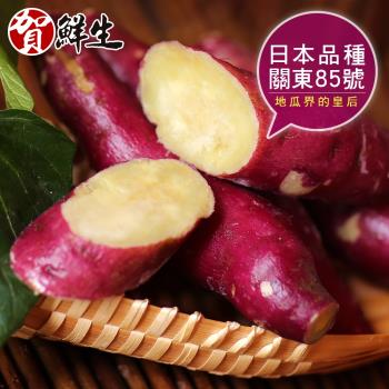 【賀鮮生】日本團購美食-紫皮奶香栗子地瓜8包(1kg/包)