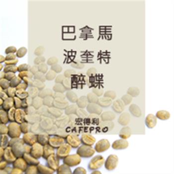 巴拿馬 波奎特 醉蝶 (水洗) (咖啡生豆)