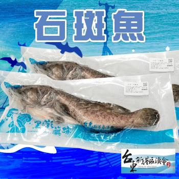 新港漁會 石斑魚-500g-600g-包 (1包組)