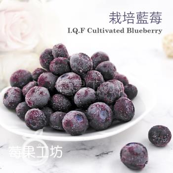 【莓果工坊】新鮮冷凍栽培藍莓 (加拿大)