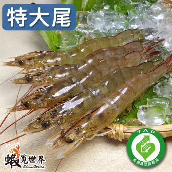 【蝦覓世界】特大尾－生鮮急凍白蝦(300g/包;3包組)