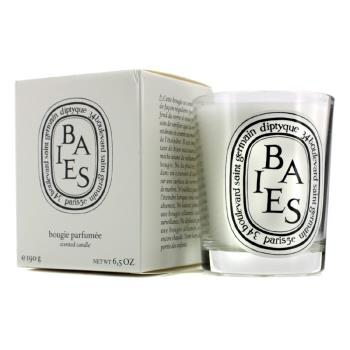 Diptyque 漿果香 香氛蠟燭 Scented Candle - Baies (Berries) 190g/6.5oz