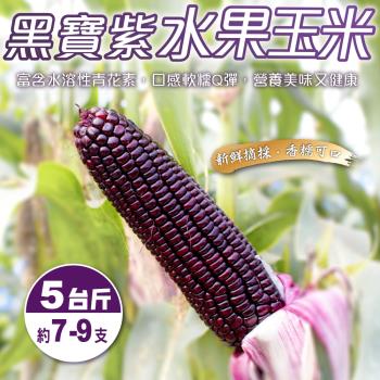 果農直配-黑寶水果玉米(5斤±10%/含箱重)