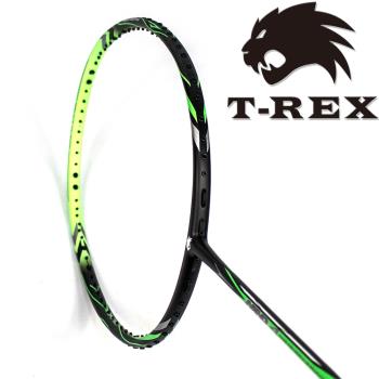 T-REX 雷克斯 - 選手愛用碳纖維複合羽球拍 - YS-NANO4