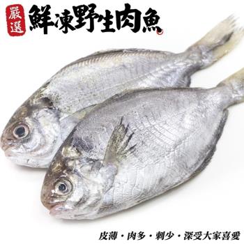 海肉管家-新鮮野生肉魚/肉鯽仔24尾(每尾約100g±10%)