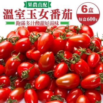 果農直配-嚴選溫室玉女小番茄6盒(約600g/盒)