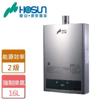 【HMK鴻茂】H-1601-智能恆溫強制排氣型熱水器-16公升-僅北北基含安裝