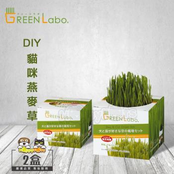 GreenLabo DIY貓咪燕麥草(2盒)