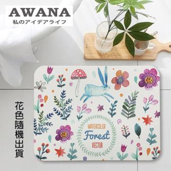 AWANA 珪藻土地墊40x30cm-花色隨機出貨