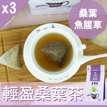 【Mr.Teago】輕盈桑葉茶/養生茶/養生飲-3角立體茶包-3袋/組(30包/袋)