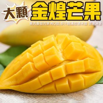 果物樂園-金煌芒果(6-9入_10斤/箱)