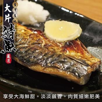 海肉管家-嚴選宜蘭XL薄鹽鯖魚(24片/每片約150g±10%)