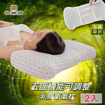 【日本旭川】日本暢銷五區機能氧氣枕/中空管枕(2入組) 
