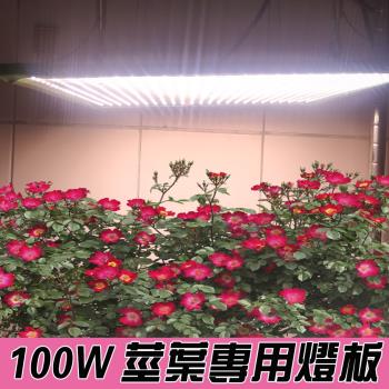 君沛 燈板系列 100瓦 吊掛式 植物燈 莖葉加強光譜 植物成長專用燈 植物生長燈